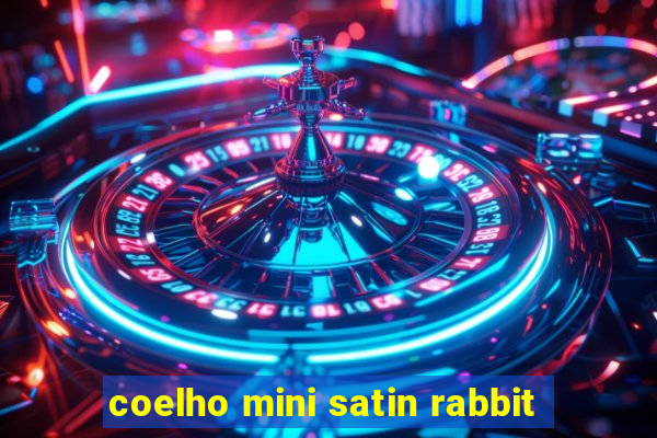 coelho mini satin rabbit